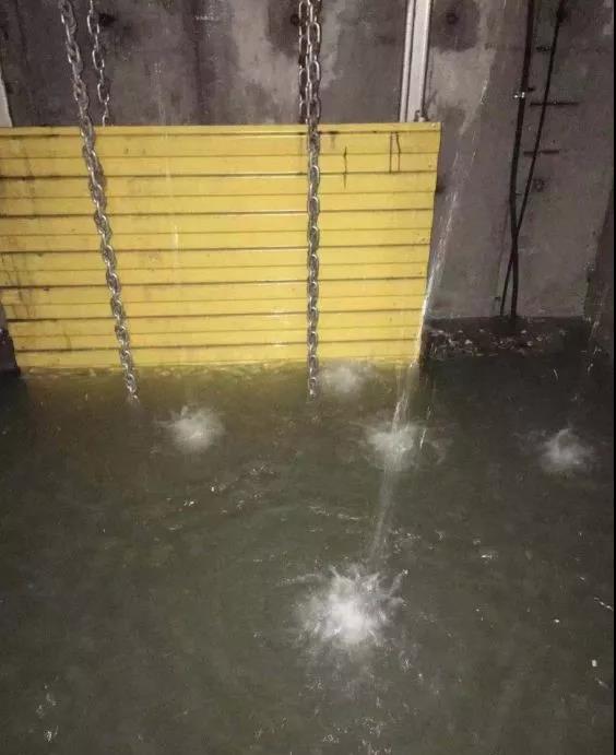 暴雨来袭！电梯进水切勿使用！